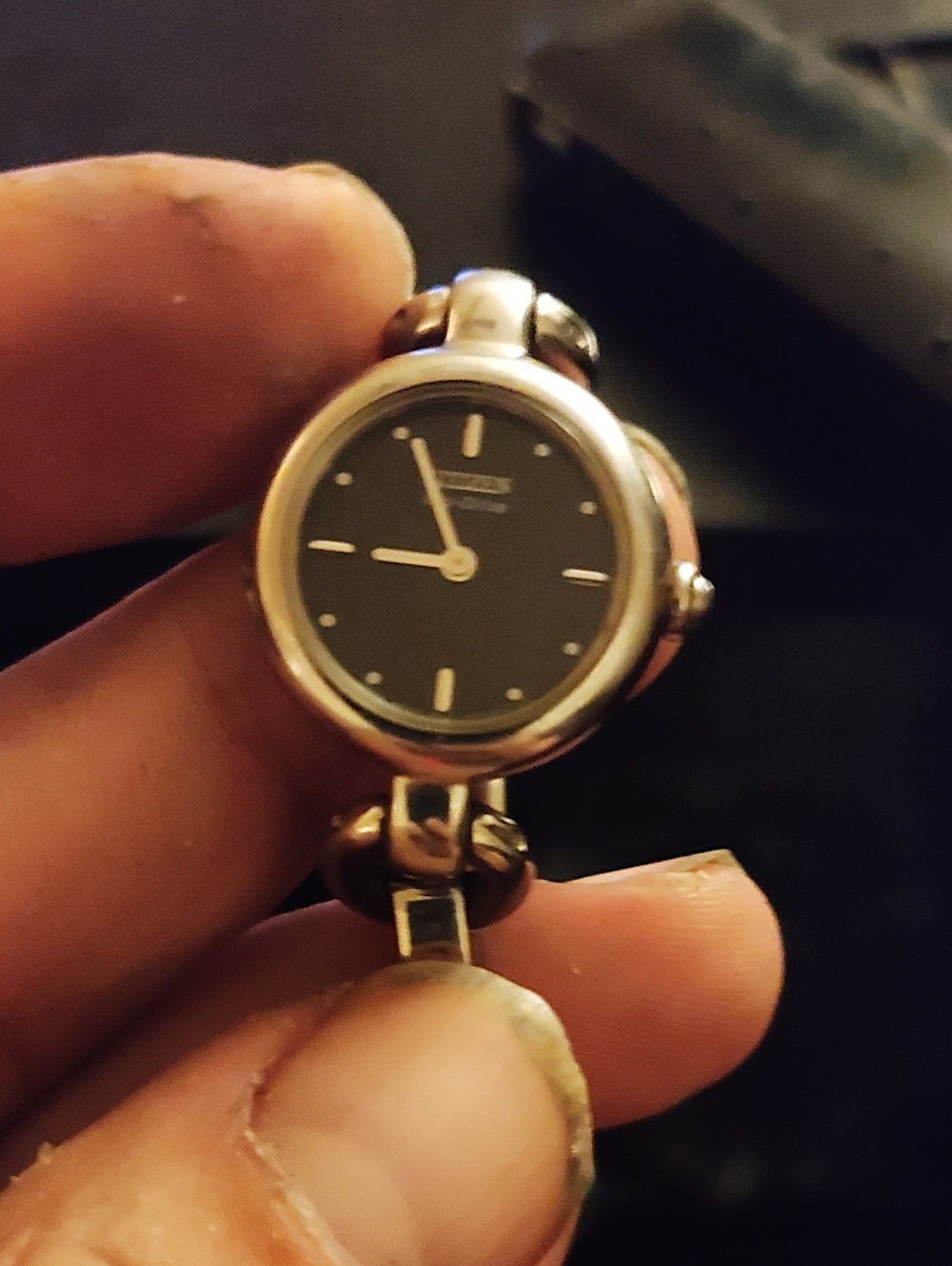 Citizen Silver-Tone Women's Watch with Black Dial